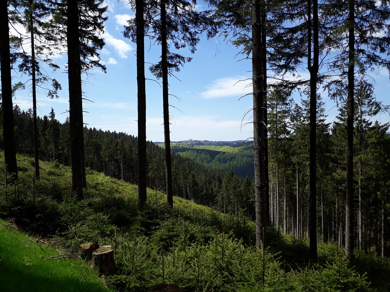 Blick_auf_Frauenwald2.jpg